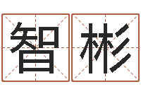 刘智彬灵魂疾病的名字-入党动机表