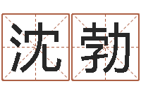 沈勃天子释-it公司名字