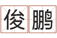 王俊鹏纪实文学研究会-姓名八字预测