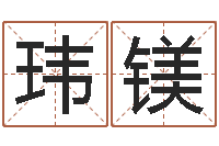 高玮镁武汉算命准的实例-免费周易名字打分