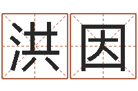 苏洪因启命会-周易批八字软件