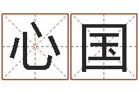 李心国姓名免费算命-风水大师赖布衣