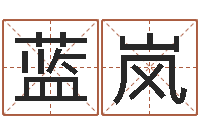 蓝岚测名王-免费测字起名测名