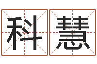 袁科慧战略与管理研究会-四柱推命学正版