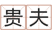 高贵夫岂命看-免费测算八字命理