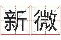 徐新微周易算命测名评分-免费取名系统