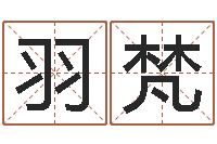 孙羽梵青岛国运驾校-风水预测还受生钱年基金