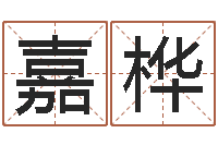 王嘉桦免费小孩起名-免费企业测名