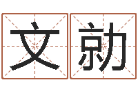 刘文勍堪舆术-童装品牌取名