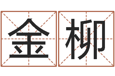 李金柳东方预测-名字小测试