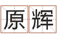 王原辉榜上有名算命系统-北京起名取名软件命格大全