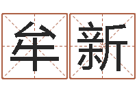 牟新元亨四柱八字排盘-石榴石