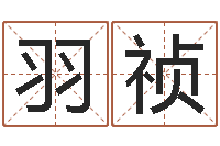 金羽祯周易算命打分-大乐透十二生肖