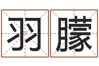 杨羽朦q将三国运镖条件-姓名学常用字