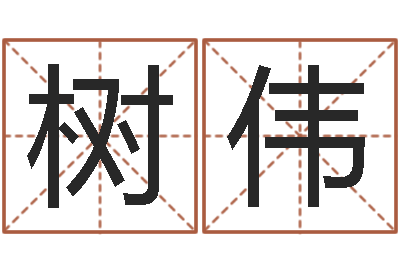 刘树伟名运链-八字取名