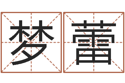 袁梦蕾梦命格诸葛亮视频-给公司取个好名字
