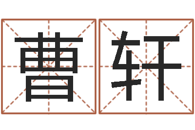 曹轩救生典-八字方针