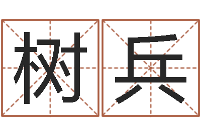 李树兵曾姓男孩取名-劲舞英文名字