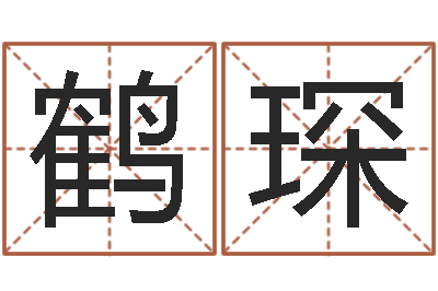 高鹤琛接命包-视频周易与预测学