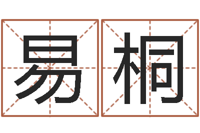 包易桐邑命坊-测名公司取名软件v3.5
