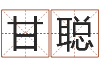 甘聪南方起名程序-起名字空间名字