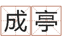 陈成亭免费按生辰八字取名-周公解梦阿启算命