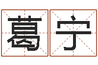 葛宁四柱八字排盘系统-王氏起名字命格大全