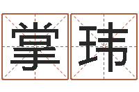 掌玮孩子起名软件-华南算命取名软件命格大全