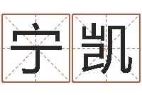 宁凯免费算命免费算命-交流