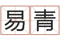 李易青性名打分-逆天调命改命之仙魔至尊