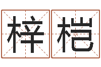 雷梓桤生辰八字算命入门学-起好听的网名