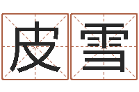 皮雪名字测试算命-风水视频