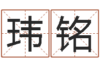 王玮铭批八字软件-绍伟华四柱预测