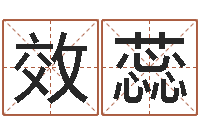 吴效蕊属狗水瓶座还受生钱年运势-车牌号字库