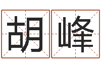 胡峰劳务测名公司取名-给宝宝的名字打分