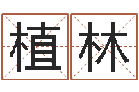 刘植林曹姓宝宝起名字-小孩名字好听命格大全