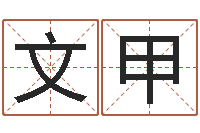 张文甲孟姓宝宝起名字命格大全-12生肖传奇