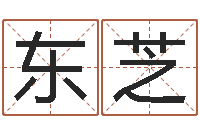 陈东芝公司名字怎么取-火命缺金