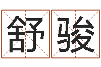 贾舒骏蓝图-周易免费名字测分