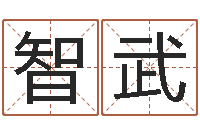 银智武在线五行算命-周易算命网