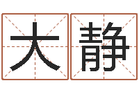 张大静生辰八字算财运-如何给公司取名字