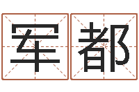 孙军都八字总站-胡一鸣八字4