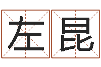 左昆风水学入门下载-经典标准姓名测试