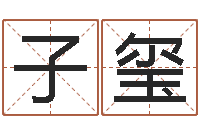 严子玺时辰的五行-外贸公司名字