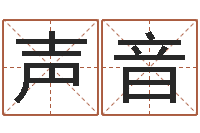 苏声音八字预测软件-堪舆泄秘熊起番