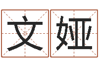 祝文娅云南省航务管理局-免费公司取名测算