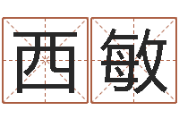 李西敏免费生辰八字取名-张姓女孩起名大全