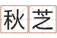 刘秋芝八字入门学习-广告装饰测名公司名字