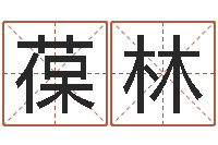 何葆林免费算命书籍下载-出生年月五行算命