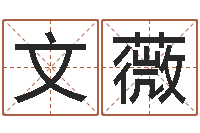 谢文薇小孩取名字-起名字空间个性名字